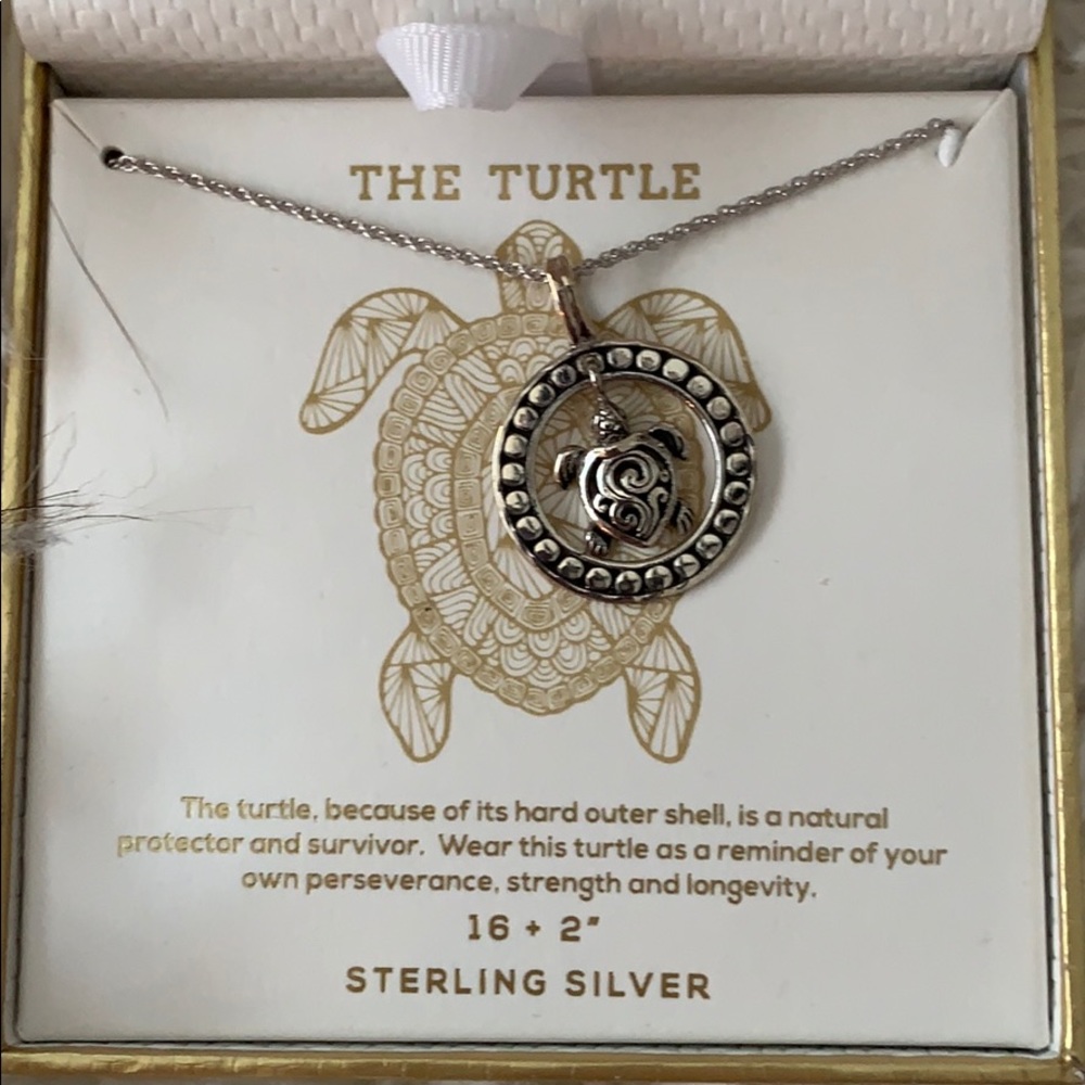 Sterling Silver Turtle Necklace